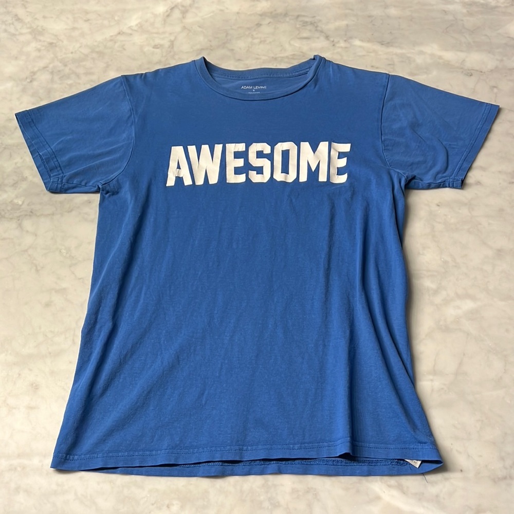 Adam Levine AWESOME Tshirt. Blue. Mens small
